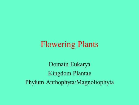 Domain Eukarya Kingdom Plantae Phylum Anthophyta/Magnoliophyta