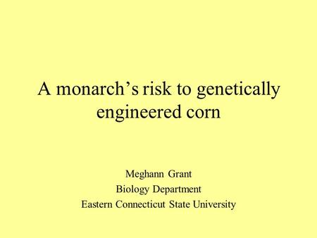 A monarchs risk to genetically engineered corn Meghann Grant Biology Department Eastern Connecticut State University.