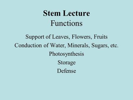 Stem Lecture Functions Support of Leaves, Flowers, Fruits