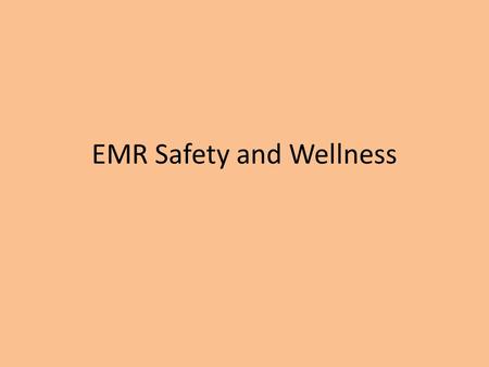 EMR Safety and Wellness. Protecting yourself from violence Obvious signs of violence fighting shouting The use or threatened use of weapons Large or unruly.