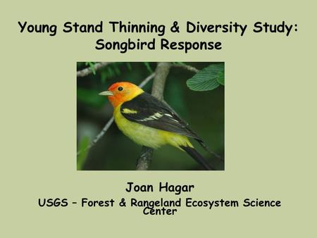 Young Stand Thinning & Diversity Study: Songbird Response Joan Hagar USGS – Forest & Rangeland Ecosystem Science Center.