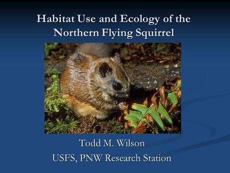 Habitat Use and Ecology of the Northern Flying Squirrel Todd M. Wilson USFS, PNW Research Station.
