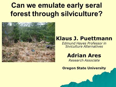 Can we emulate early seral forest through silviculture? Klaus J. Puettmann Edmund Hayes Professor in Siviculture Alternatives Adrian Ares Research Associate.