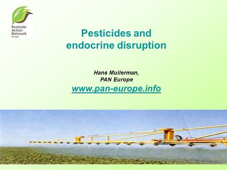 Pesticides and endocrine disruption Hans Muilerman, PAN Europe www.pan-europe.info www.pan-europe.info.