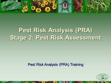 Pest Risk Analysis (PRA) Stage 2: Pest Risk Assessment