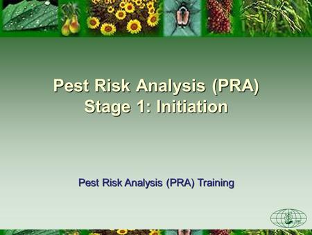 Pest Risk Analysis (PRA) Stage 1: Initiation Pest Risk Analysis (PRA) Training.