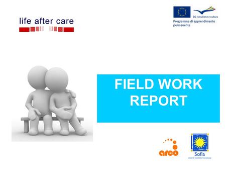 FIELD WORK REPORT. WHERE Field work carried out in Carpi (70.000) and Cesena (90.000) – same methodology.