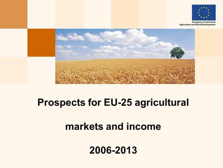Prospects for EU-25 agricultural markets and income 2006-2013.