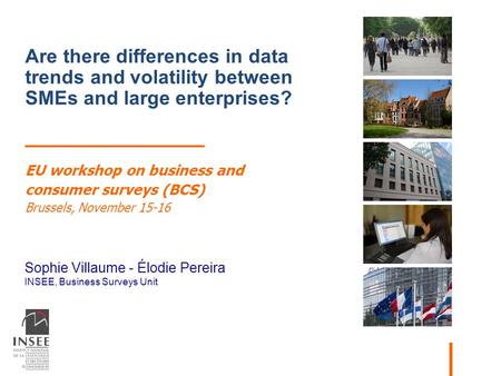 Sophie Villaume - Élodie Pereira INSEE, Business Surveys Unit Are there differences in data trends and volatility between SMEs and large enterprises? EU.