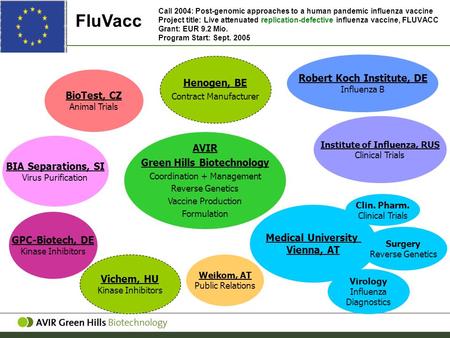 Call 2004: Post-genomic approaches to a human pandemic influenza vaccine Project title: Live attenuated replication-defective influenza vaccine, FLUVACC.