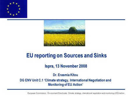 European Commission: Environment Directorate: Climate strategy, international negotiation and monitoring of EU action EU reporting on Sources and Sinks.