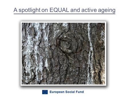 European Social Fund A spotlight on EQUAL and active ageing.