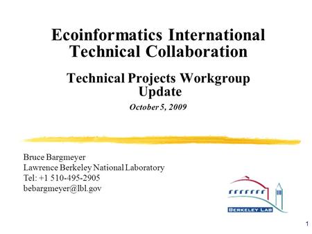 Ecoinformatics International Technical Collaboration