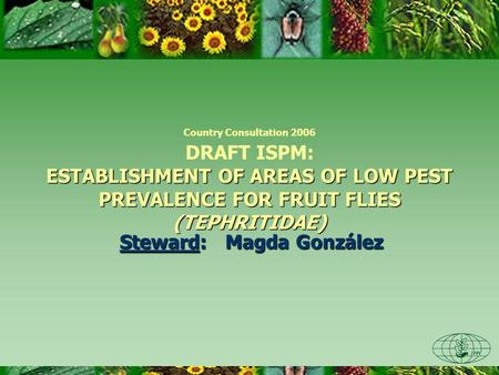 ESTABLISHMENT OF AREAS OF LOW PEST PREVALENCE FOR FRUIT FLIES (TEPHRITIDAE) Country Consultation 2006 DRAFT ISPM: ESTABLISHMENT OF AREAS OF LOW PEST PREVALENCE.