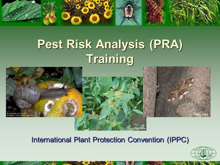 1 CFIA-ACIA Pest Risk Analysis (PRA) Training International Plant Protection Convention (IPPC) CFIA-ACIA.