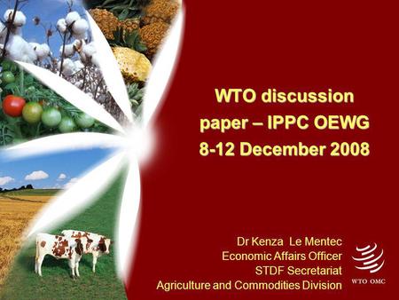 WTO discussion paper – IPPC OEWG 8-12 December 2008 Dr Kenza Le Mentec Economic Affairs Officer STDF Secretariat Agriculture and Commodities Division.