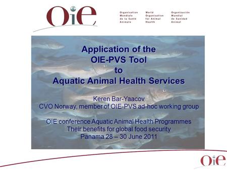 Application of the OIE-PVS Tool to Aquatic Animal Health Services Keren Bar-Yaacov CVO Norway, member of OIE-PVS ad-hoc working group OIE conference Aquatic.