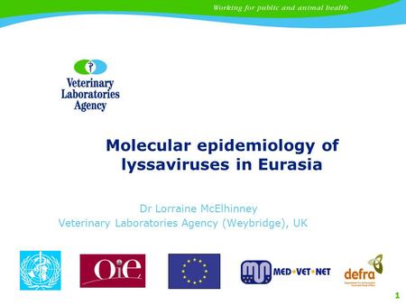 1 Molecular epidemiology of lyssaviruses in Eurasia Dr Lorraine McElhinney Veterinary Laboratories Agency (Weybridge), UK.