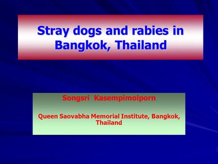Stray dogs and rabies in Bangkok, Thailand