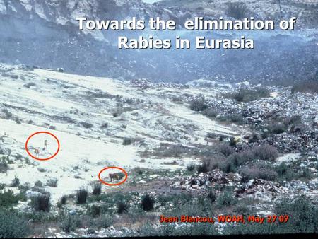 1 Towards the elimination of Rabies in Eurasia Jean Blancou, WOAH, May 27 07.