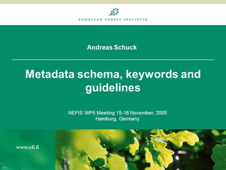 Andreas Schuck Metadata schema, keywords and guidelines NEFIS WP5 Meeting 15-16 November, 2005 Hamburg, Germany.
