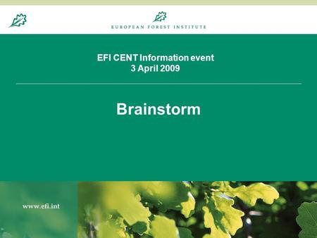 20.8.20041 EFI CENT Information event 3 April 2009 Brainstorm.