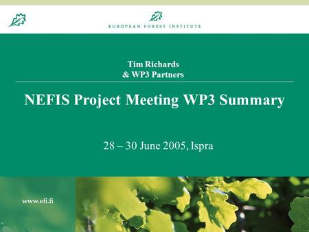 20.8.20041 Tim Richards & WP3 Partners NEFIS Project Meeting WP3 Summary 28 – 30 June 2005, Ispra.