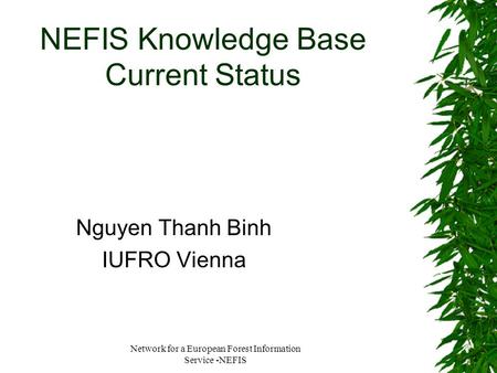Network for a European Forest Information Service -NEFIS NEFIS Knowledge Base Current Status Nguyen Thanh Binh IUFRO Vienna.