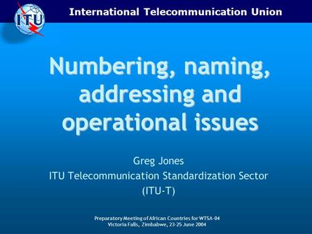 International Telecommunication Union Preparatory Meeting of African Countries for WTSA-04 Victoria Falls, Zimbabwe, 23-25 June 2004 Numbering, naming,