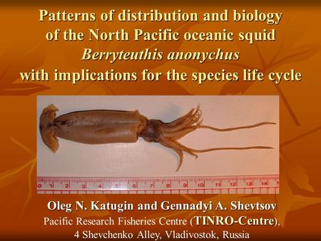 Patterns of distribution and biology of the North Pacific oceanic squid Berryteuthis anonychus with implications for the species life cycle Oleg N. Katugin.