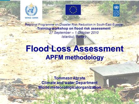 Flood Loss Assessment APFM methodology