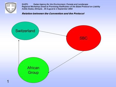 SAEFLSwiss Agency for the Environment, Forests and Landscape Regional Workshop aimed at Promoting Ratification of the Basel Protocol on Liability Addis.