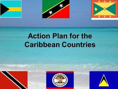 Action Plan for the Caribbean Countries. Current Situation Lack of the technical expertise required in the identification and documentation of LMOs.