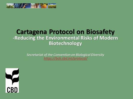 Cartagena Protocol on Biosafety -Reducing the Environmental Risks of Modern Biotechnology Secretariat of the Convention on Biological Diversity https://bch.cbd.int/protocol/
