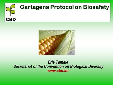 Erie Tamale Secretariat of the Convention on Biological Diversity