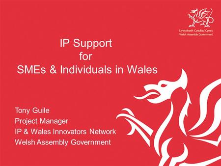 IP Support for SMEs & Individuals in Wales Tony Guile Project Manager IP & Wales Innovators Network Welsh Assembly Government.
