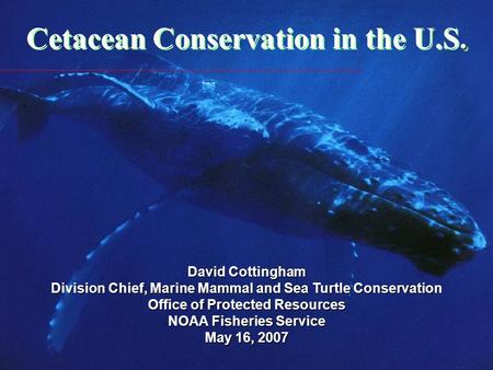 . Cetacean Conservation in the U.S. David Cottingham Division Chief, Marine Mammal and Sea Turtle Conservation Office of Protected Resources NOAA Fisheries.
