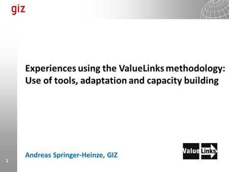 Experiences using the ValueLinks methodology: