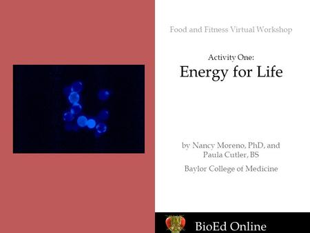 BioEd Online Food and Fitness Virtual Workshop Activity One: Energy for Life by Nancy Moreno, PhD, and Paula Cutler, BS Baylor College of Medicine.