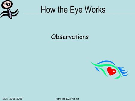 MLK 2005-2006How the Eye Works Observations MLK 2005-2006How the Eye Works Parts to the Puzzle –Anatomy the study of the names of the structures in the.