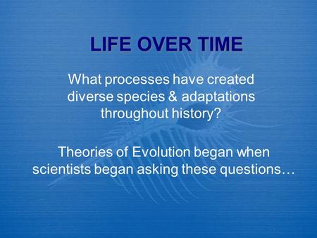 LIFE OVER TIME What processes have created diverse species & adaptations throughout history? Theories of Evolution began when scientists began asking these.