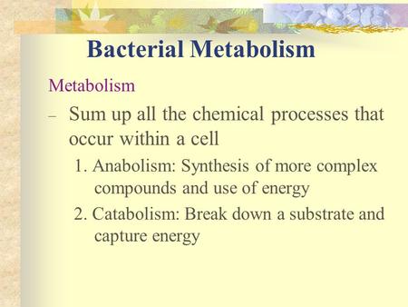 Bacterial Metabolism Metabolism