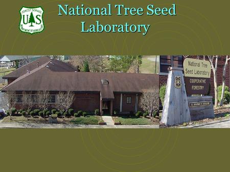 National Tree Seed Laboratory. United States Distribution of Juniperus J. pinchotii J. virginiana J. monosperma J. scopulorum J. silicicola.