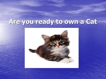 Are you ready to own a Cat. Answer 2 questions to test yourself to see if you are ready to own a Cat 1. Name ONE types of food for your cat? A.Wet food.