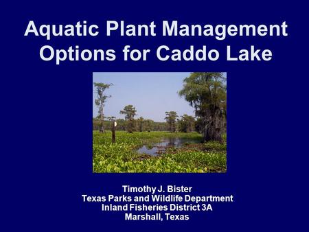 Aquatic Plant Management Options for Caddo Lake Timothy J. Bister Texas Parks and Wildlife Department Inland Fisheries District 3A Marshall, Texas.