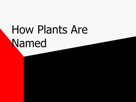 How Plants Are Named.