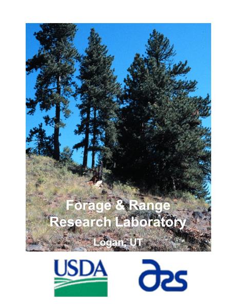 Forage & Range Research Laboratory Logan, UT. Review Progress in … Bluebunch wheatgrass Snake River wheatgrass Indian ricegrass Squirreltail Basin wildrye.