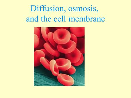 Diffusion, osmosis, and the cell membrane