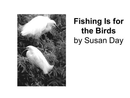 Fishing Is for the Birds by Susan Day. 7What kind of birds does the author discuss first? Ο A. Birds that chase fish underwater Ο B. Birds that stand.
