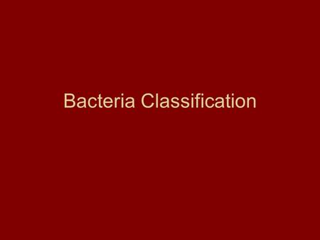 Bacteria Classification